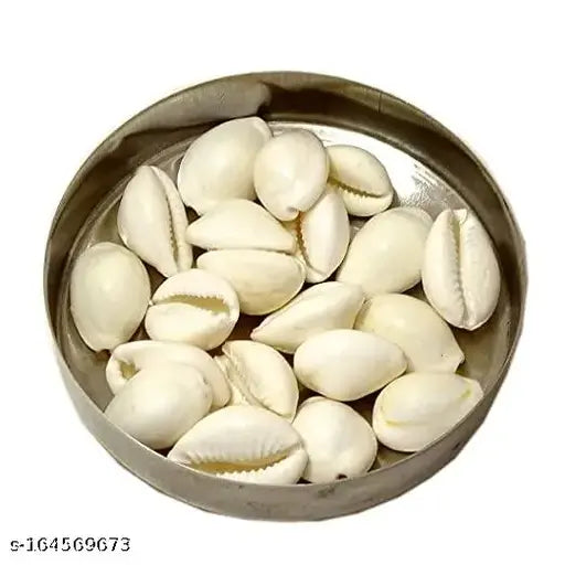 Natural white cowrie sea shells set (11 pcs) for puja and multi-purpose uses - Indian sacred product associated with wealth and prosperity, used historically in ornaments, gambling, and decoration, often kept in cash boxes for financial protection
