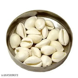 Natural white cowrie sea shells set (11 pcs) for puja and multi-purpose uses - Indian sacred product associated with wealth and prosperity, used historically in ornaments, gambling, and decoration, often kept in cash boxes for financial protection