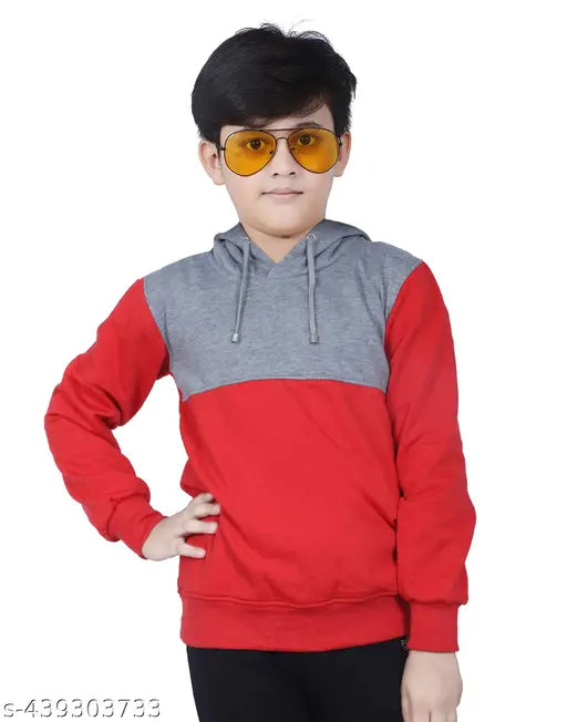 Organic cotton hooded sweatshirt for boys, printed pattern, long sleeves, side pockets, perfect winter wear (India)