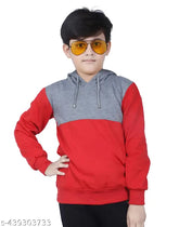 Organic cotton hooded sweatshirt for boys, printed pattern, long sleeves, side pockets, perfect winter wear (India)