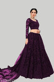 Embroidered satin choli and net dupatta set, Md9105WINE Indian traditional semi-stitched lehenga with embellished details