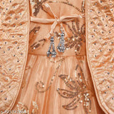Beige net frock dress, silver kraft embellished design, kid's partywear from India