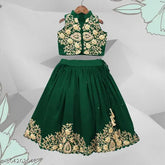 Taffeta silk embroidered lehenga choli, modern, comfortable children's wear, Indian origin