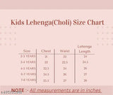 Organza and net embroidered lehenga with crop top, traditional ethnic wear for girls aged 2-8, made in India