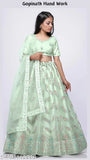 Gopinath hand-work net pista lehenga choli & blouse with embroidered dupatta, free size Indian ethnic wear for women on display