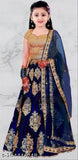 Taffeta silk women's Lehenga choli set, embroidered with net dupatta, suitable for special occasions