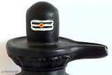 Black resin Shivling religious idol for pooja, art form on display stand