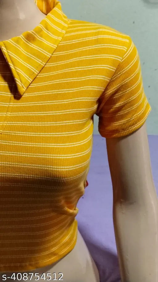 Striped net Lycra lining collar half baju msustar, short-sleeved women's top from India on mannequin