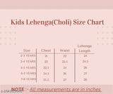 Taffeta silk embroidered fancy lehenga choli for modern comfortable kids, 1 piece, India