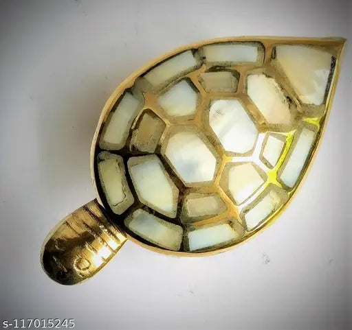 Brass Feng Shui tortoise with oyster shell, vibrant showpiece for home decor, 9cm x 3cm x 5cm