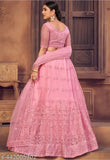 Pink embroidered net lehenga choli for women, intricate Indian ethnic wear