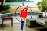 Indian poly resin parrot showpiece for garden decor, 12cm x 31cm x 16cm