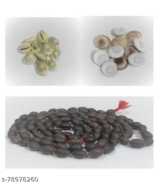 ABS Kamal Gatta Lotus Seeds Mala (108+1), 11 pieces of Gomati Chakra and Yellow Laxmi Kaudi, Vastu net from India