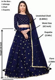 Satin and net Chokadi Bindi 001 lehenga choli with ethnic motif, embroidered dupatta in India" (116 characters)