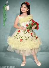 Embroidered net floral print frock, fit-and-flare silhouette for girls, India origin