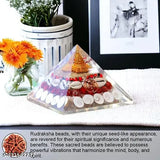 Laxmi Pyramid - Resin Feng Shui showpiece with Rudraksha Shree Yantra, Gomati Chakra, White Kauri, Ratti seeds for Vastu wealth, prosperity, good luck, and spiritual growth