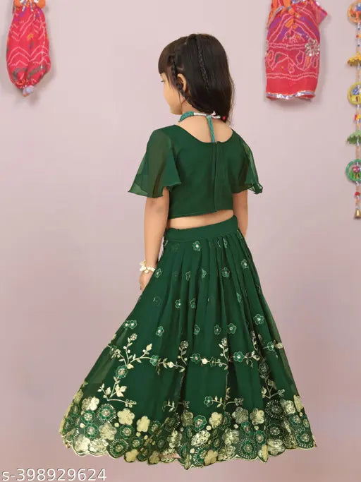 Heavy embroidered georgette silk lehenga choli for girls, 28 years, Indian-origin