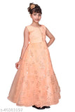 Sky Heights embroidered net sleeveless gown dress for modern girls parties