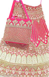 Soft velvet embroidery work bridal handbag for girls/women partywear (Rani Zarkan), 5L, embroidered net pattern, free size (10"x5"x10")
