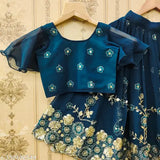 Georgette embroidered work lehenga choli for girls aged 2-8 years, Indian traditional attire on display