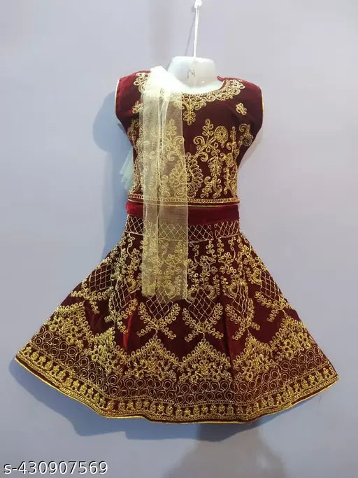 Embroidered acrylic lehenga for girls, Indian attire with long sleeves and net pattern, size 6-12 months