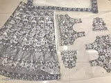 Trendy net lehenga with embroidered choli and lace dupatta, free size, 44in waist, 42in length, 2m dupatta, Indian origin