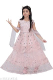 Dark net Anarkali lehenga choli set, sleeveless girls kurti wedding dress with Aari work, Indian craftsmanship on display