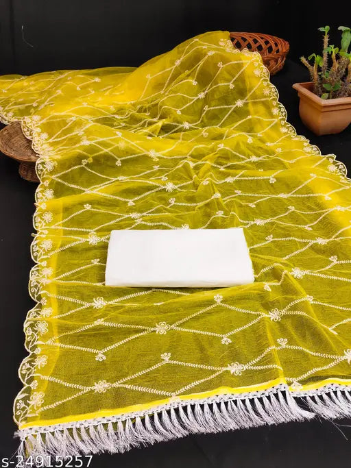 White mulberry silk Bollywood-inspired Indian saree with embroidered pattern, new design 2024 for attractive partywear