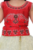 Soft silk embroidered lehenga choli for kids in net fabric, 3-4 years size, Indian origin