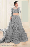 Embroidered Chikankari party lehenga set, net fabric, floral embroidery, semi-stitched for women, India