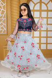 Velvet lehenga and net choli with zari stitch for girls, available in sizes 4-5 years to 8-9 years. Indian traditional attire on display