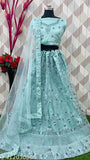 Sky blue embroidered net lehenga choli for women, featuring dupatta - Indian designer bridal wear