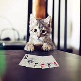 Lightweight cat poker cards mobile case, high-quality design for all phone models, protects from scratches and bumps