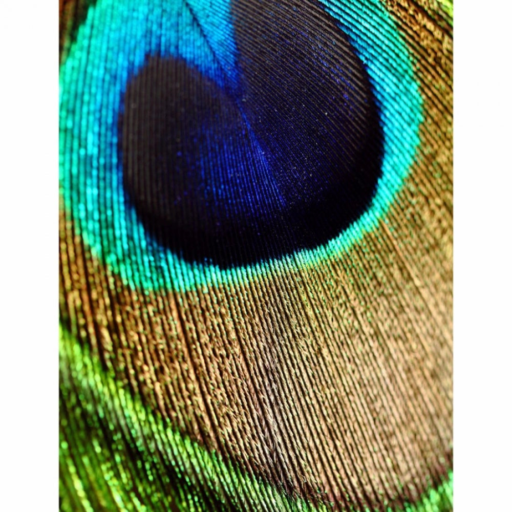 Blue peacock effect mobile case cover, lightweight and durable, suitable for all phone models