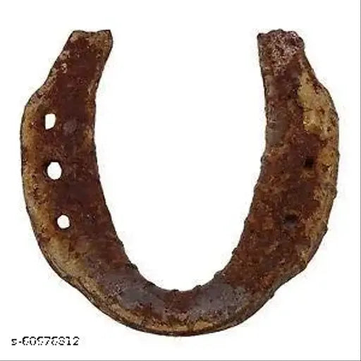 Metal horse shoe for good luck and evil energy protection, Indian animal figurine on display