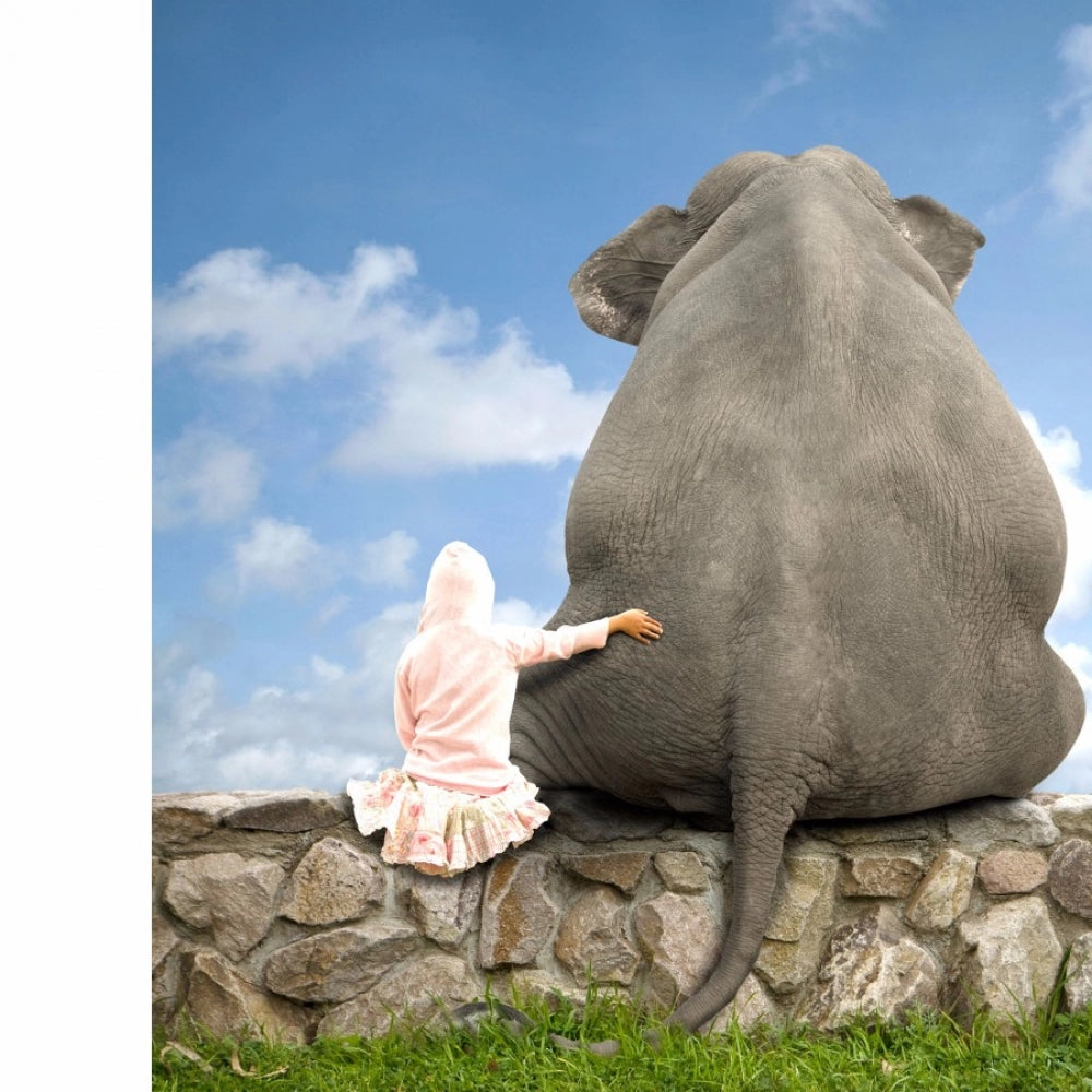 3D Layout Mobile Case Cover: Gray elephant case, girl, stone wall, blue sky.