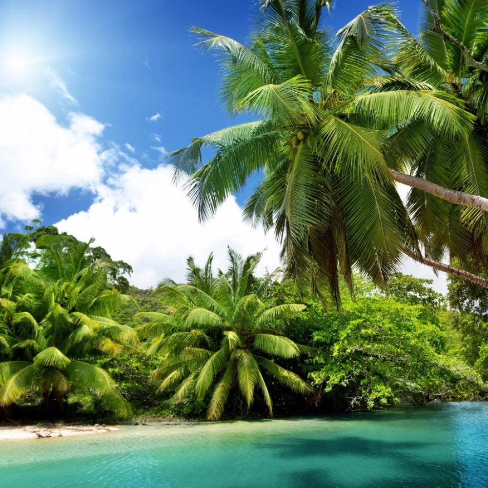 River scene with 100% new coconut tree mobile case cover for all phones, protecting buttons and camera