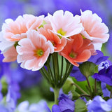 Cool lavender flowers design mobile case cover, high-quality & lightweight, suitable for all phone models