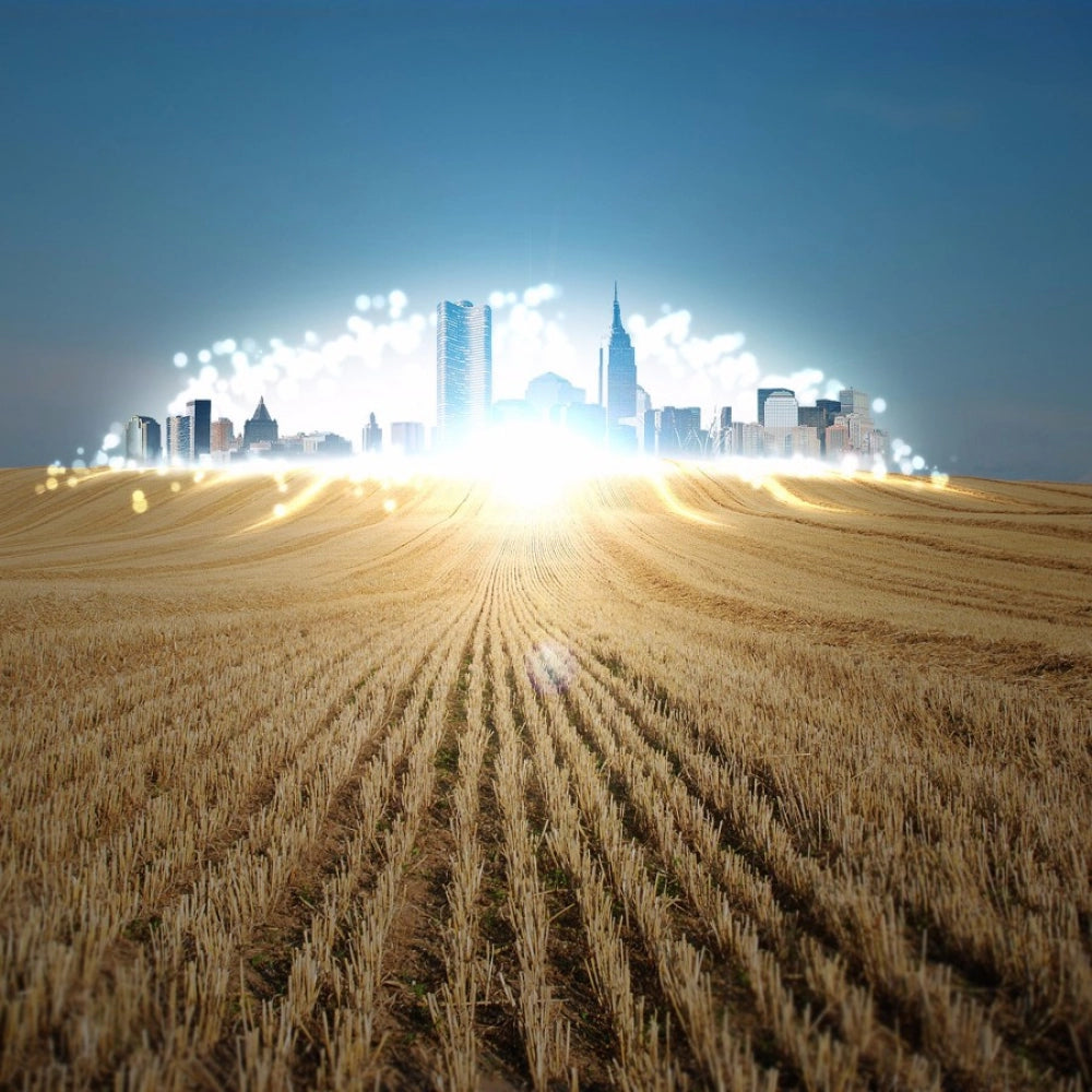 100% new, lightweight wheat land & city landscapes mobile case, fits all phones, protects against scratches and chips