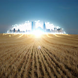 100% new, lightweight wheat land & city landscapes mobile case, fits all phones, protects against scratches and chips