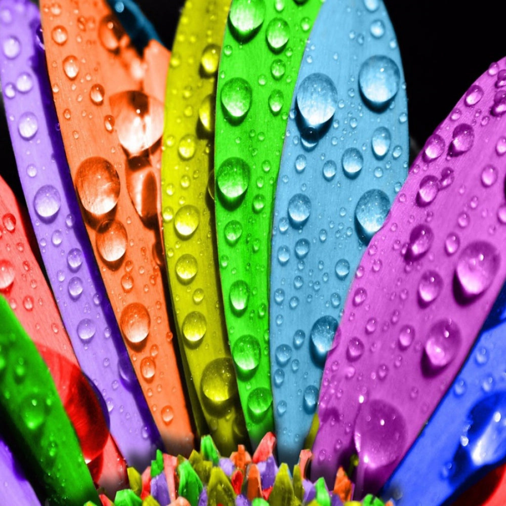 Vibrant color leaves mobile case cover, 100% new & high-quality, fits all phones, scratch and impact protection