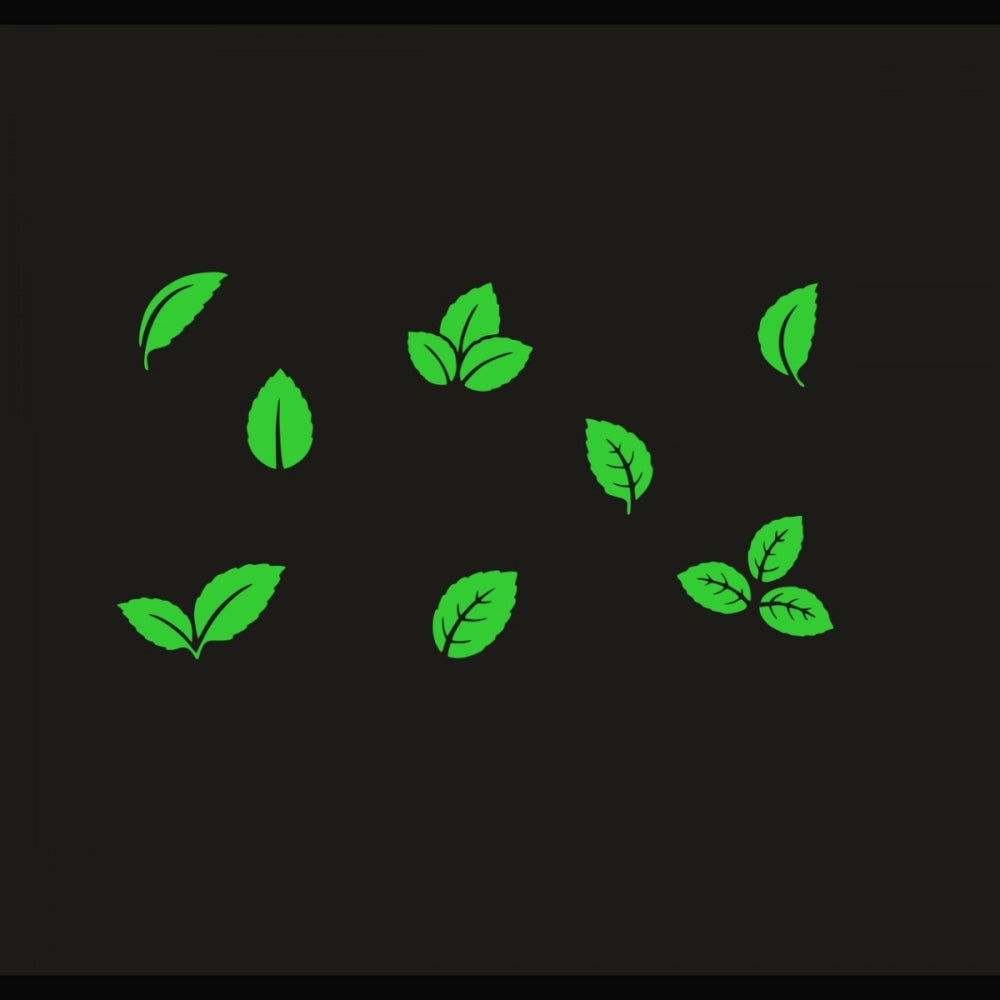 Green vinyl peel-and-stick radium wall decor, 61x33cm, enhances relaxing atmosphere without electric lights