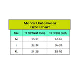 Men's Mesh Power Net Transparent Sexy Brief Underwear (Green)
