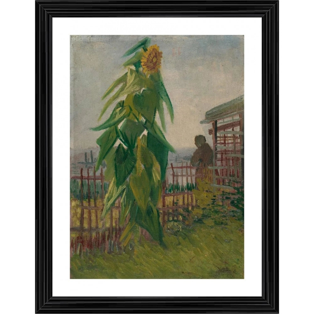 This is a framed painting of an impressionist still life featuring a tall sunflower. The painting captures the natural beauty of the flower in full bloom against the backdrop of an outdoor setting, possibly an allotment. The style is reminiscent of post-impressionism with visible brushstrokes and vibrant color palette. The frame surrounding the artwork has a rustic wood finish that complements the vintage aesthetic of the piece