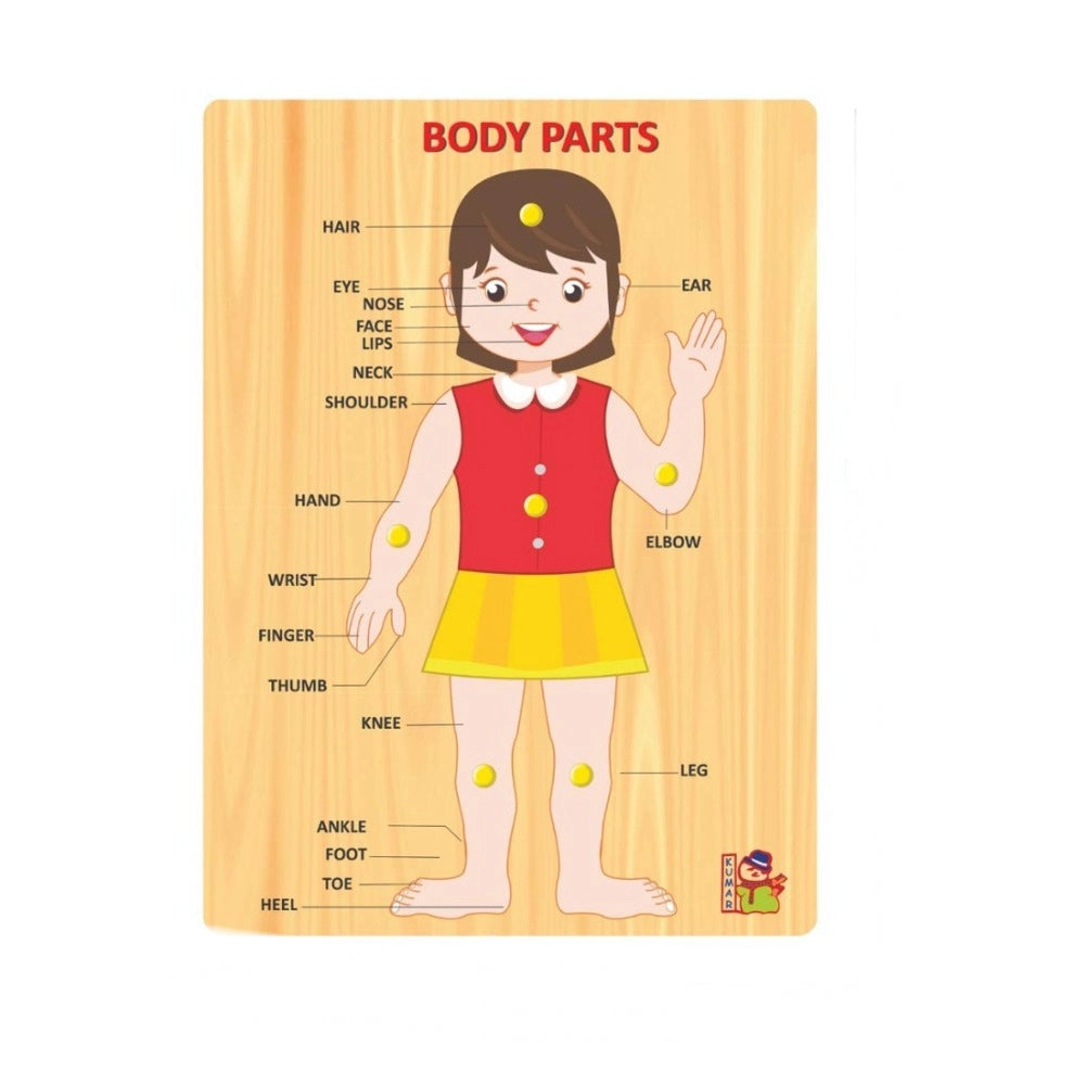 Assorted wooden body parts learning puzzle board for kids age 3+. Promotes hand-eye coordination, fine motor skills, and problem-solving