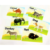 Assorted plastic flash card-animal set for educational toys, ideal for 6+ months