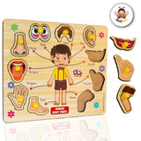 Wooden Body Parts Puzzle for Kids 3+ Years, educational toy made of smooth wood