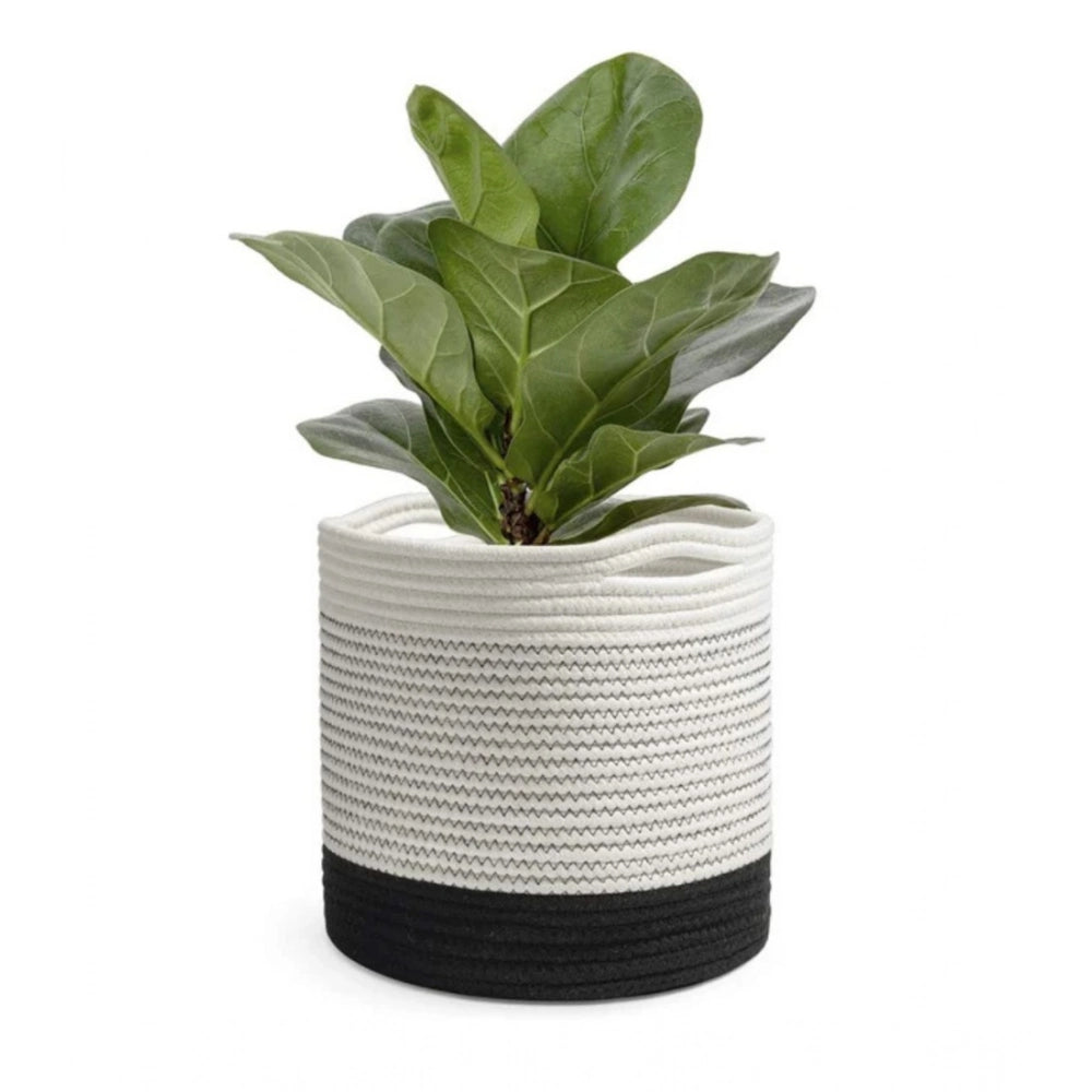 Cotton Large Woven Storage Basket 10x10 Inch Pack of 1 (White)