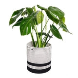 Cotton Large Woven Storage Basket 10x10 Inch Pack of 1 (Black &amp; White)