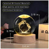 Wooden transparent 3D dolphin night light, captivating marine decor for bedroom
